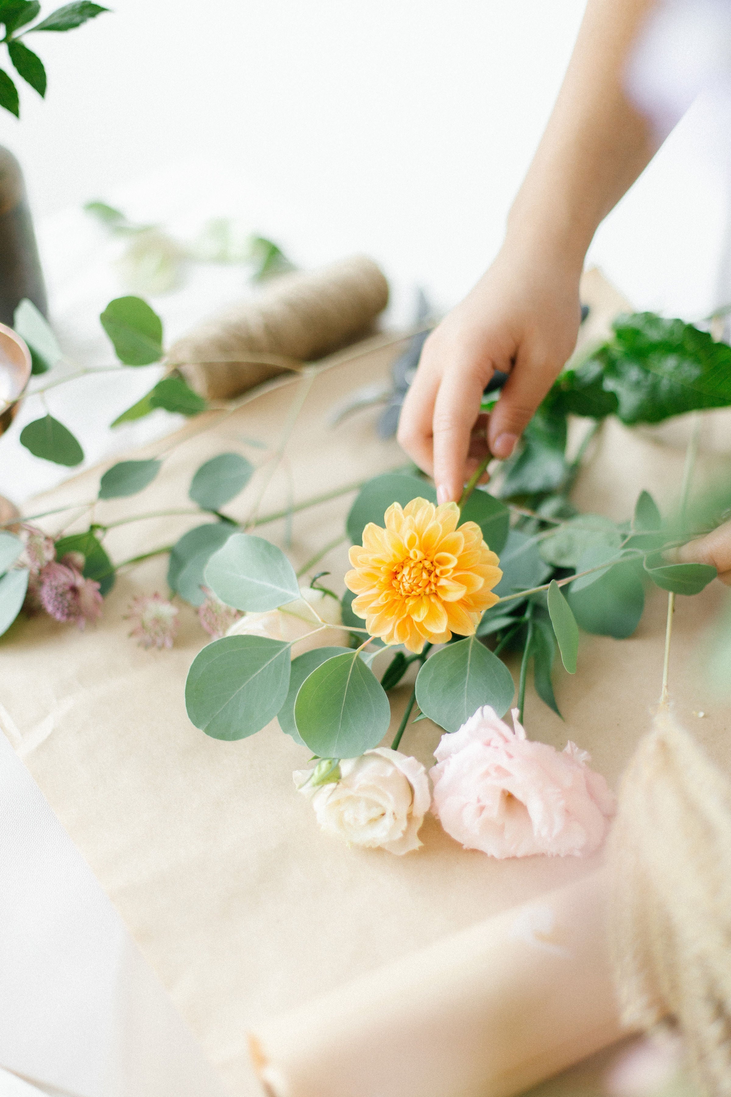 With Deepest Sympathy