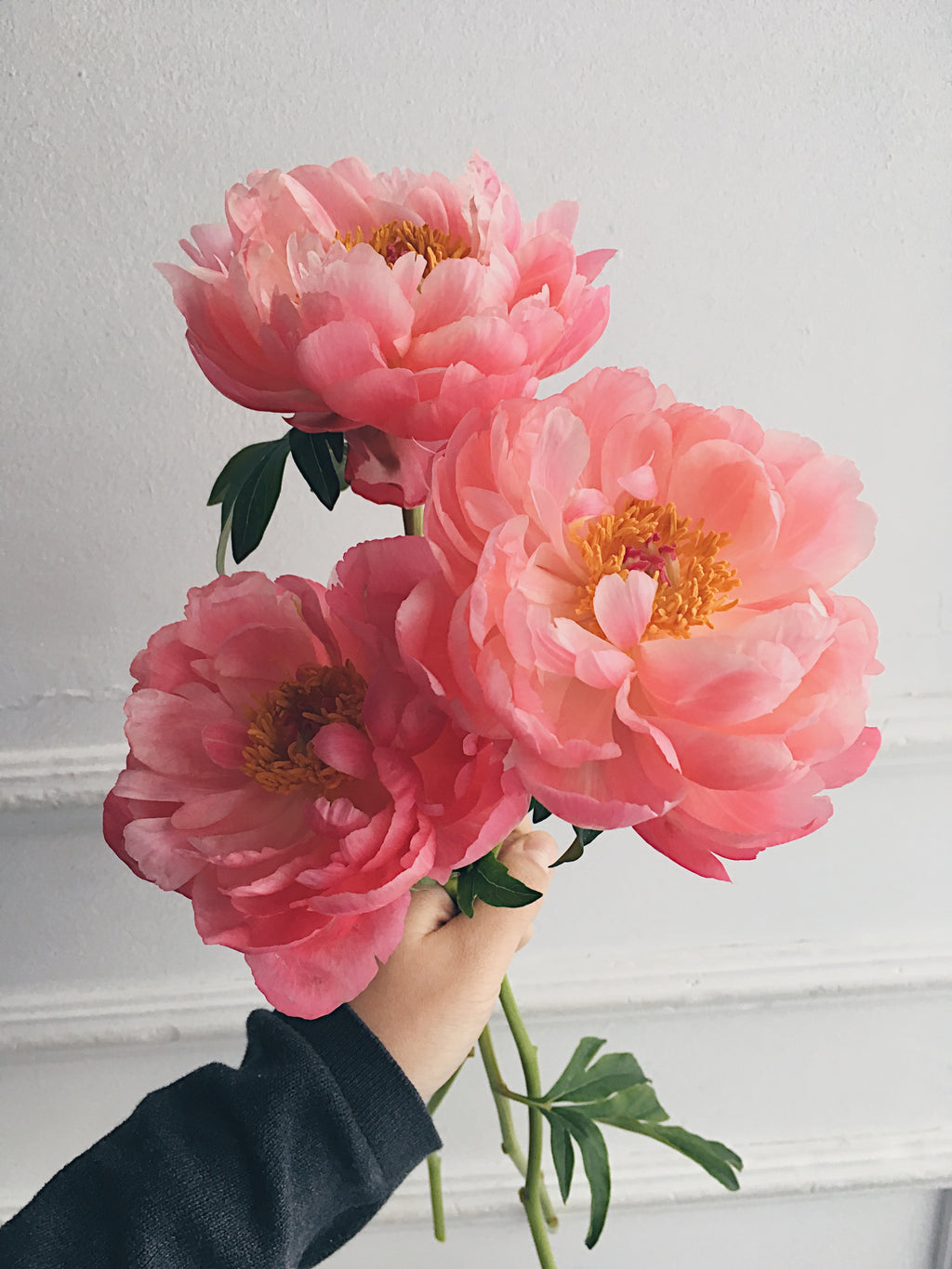 Peony Bouquet (seasonal)