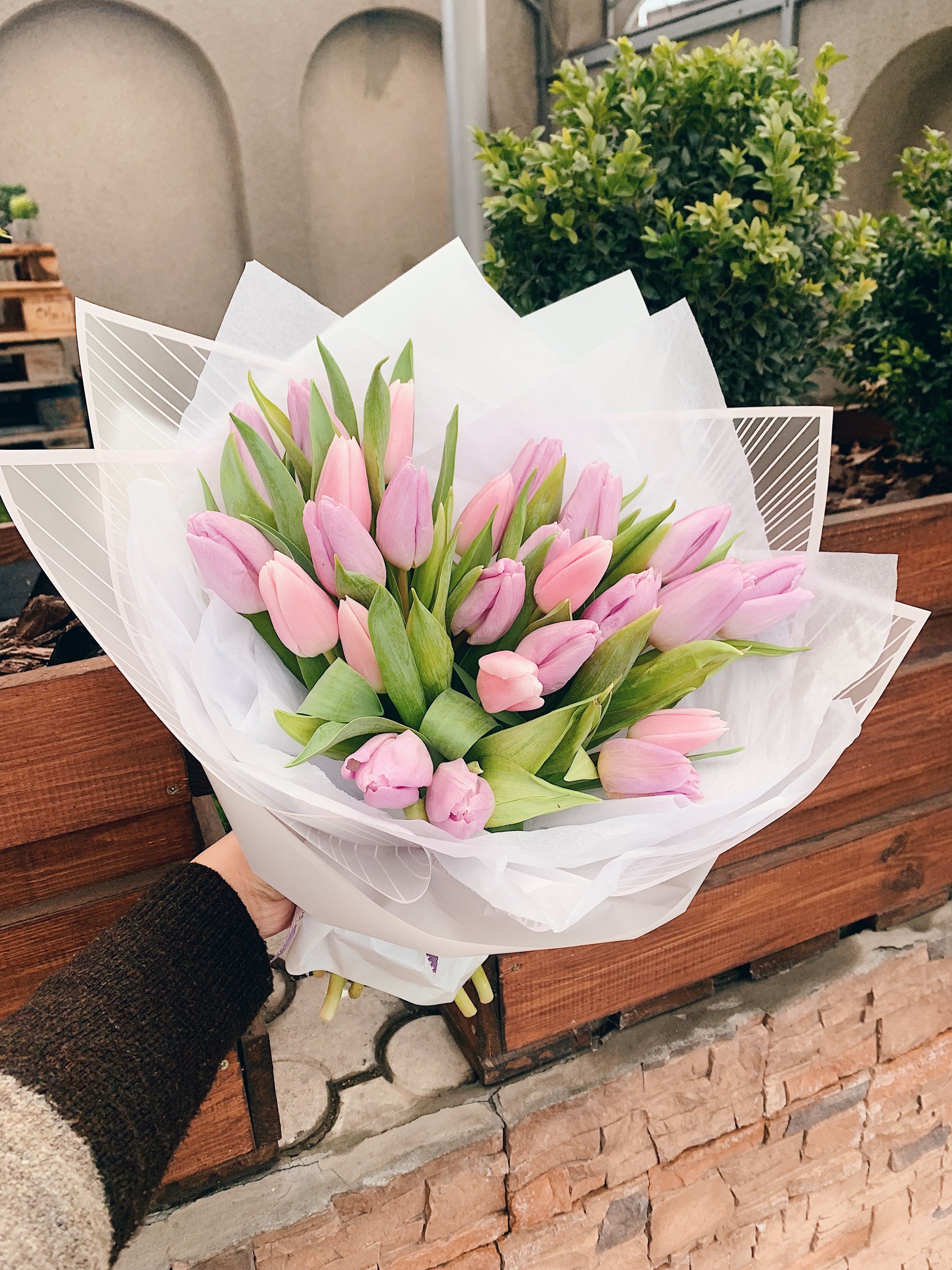 Tulip Bouquet – Single or Double (Assorted Colors)