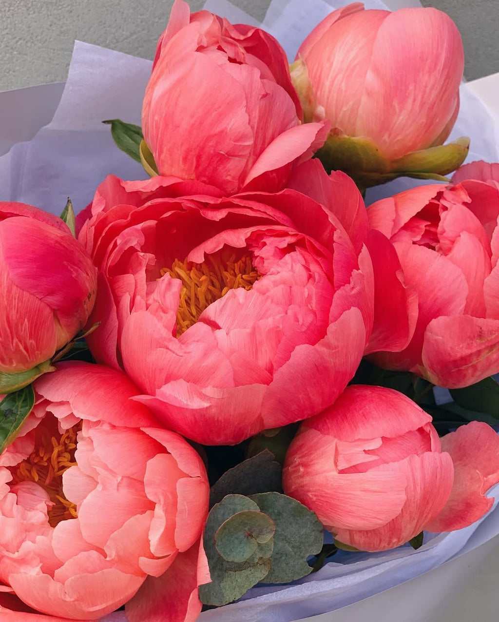 Peony Bouquet (seasonal)