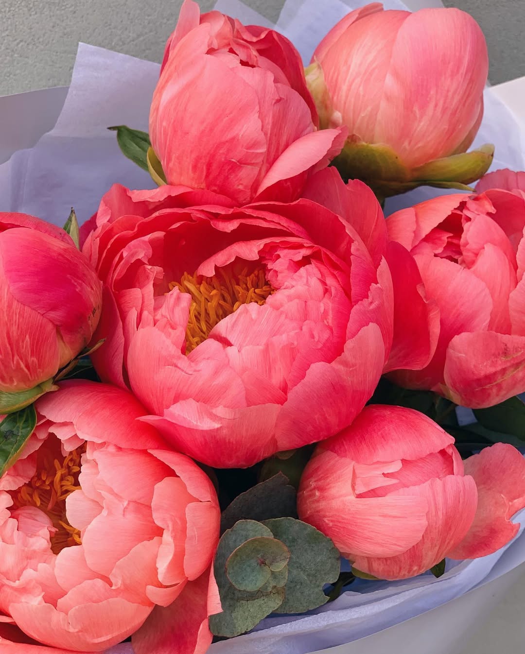 Peony Bouquet (seasonal)