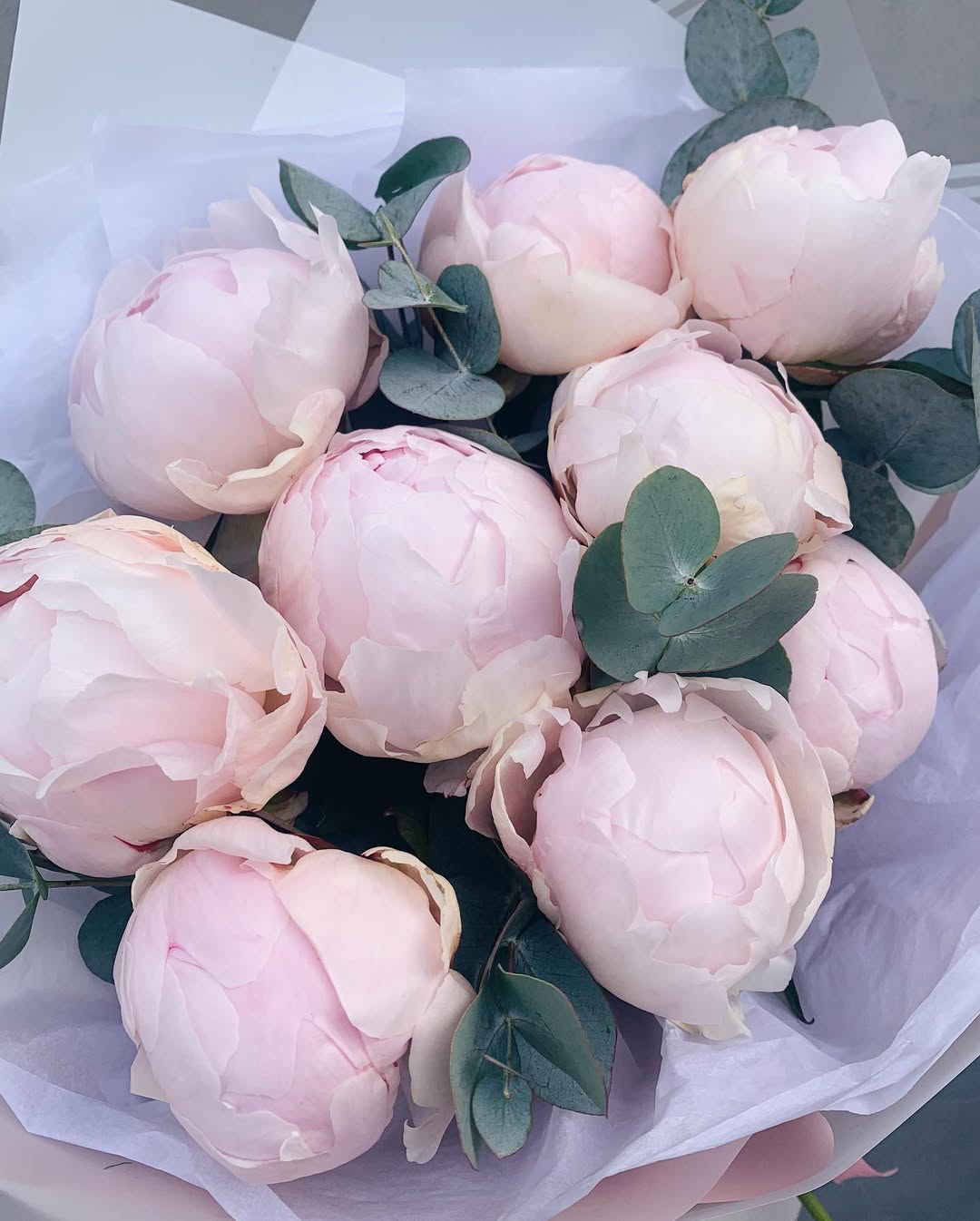 Peony Bouquet (seasonal)