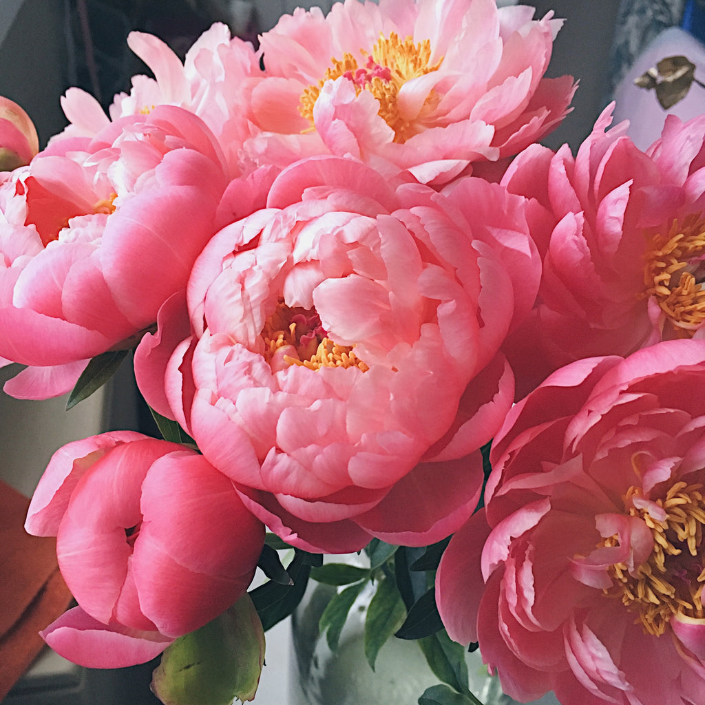 Peony Bouquet (seasonal)