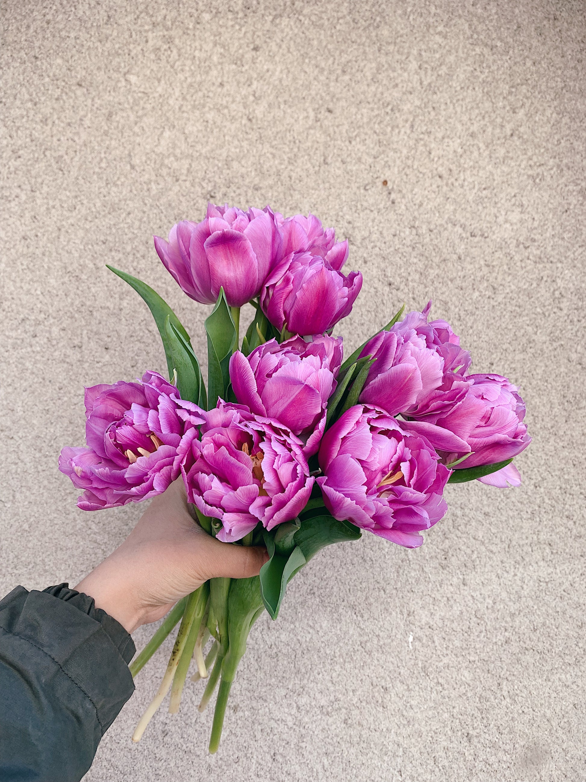 Tulip Bouquet – Single or Double (Assorted Colors)