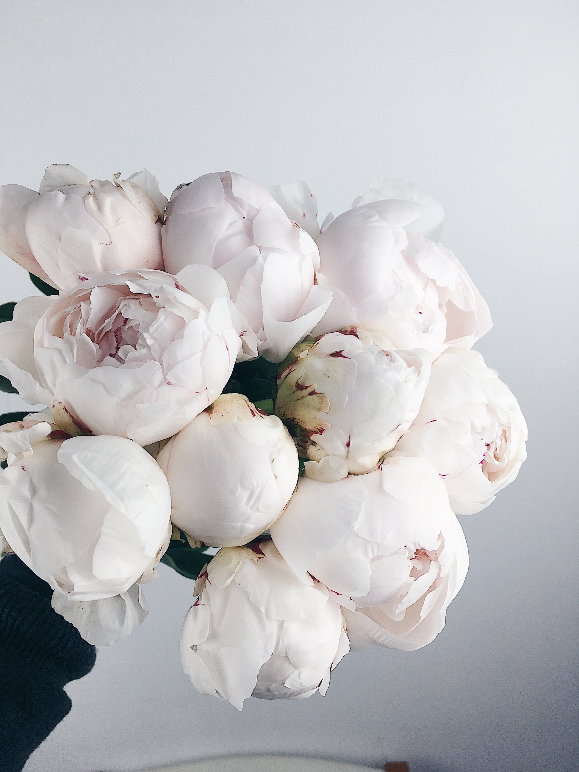Peony Bouquet (seasonal)