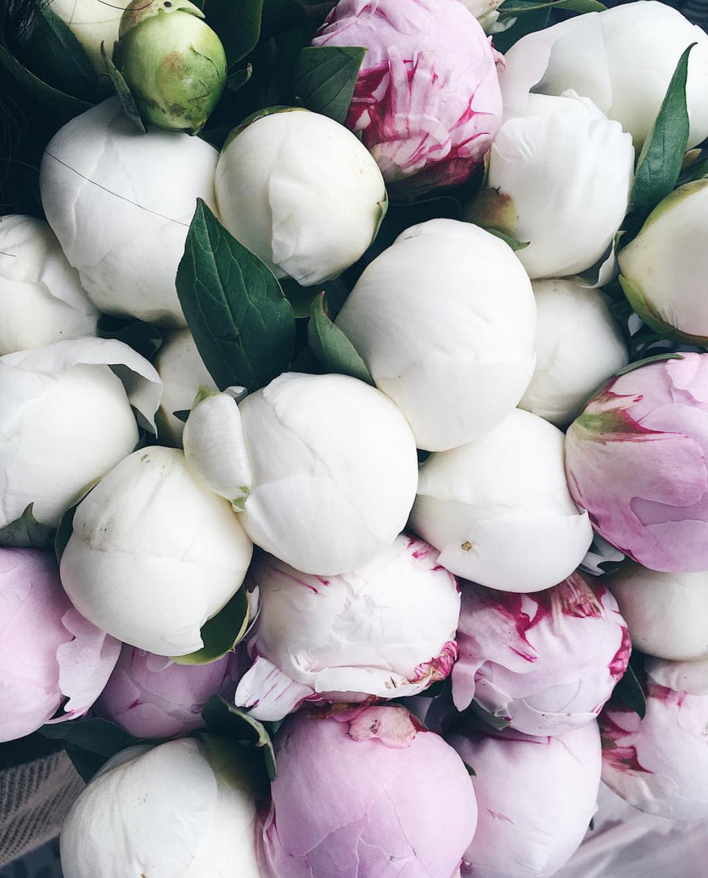 Peony Bouquet (seasonal)
