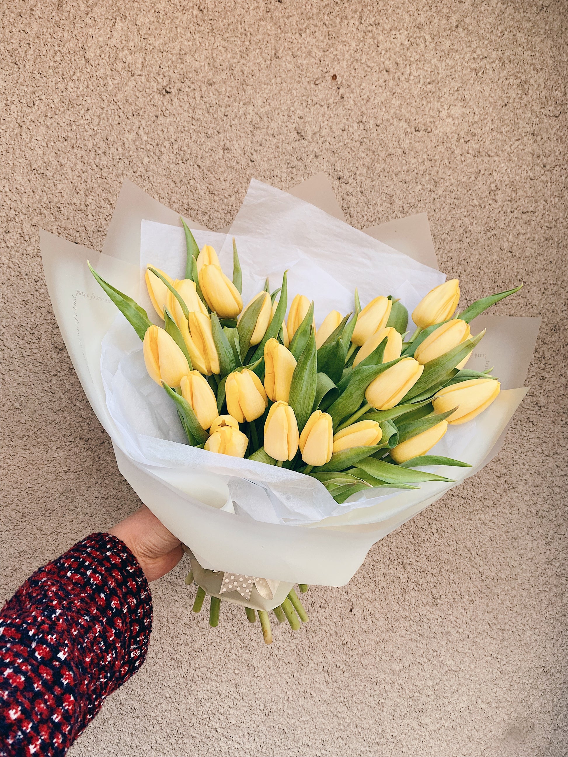 Tulip Bouquet – Single or Double (Assorted Colors)