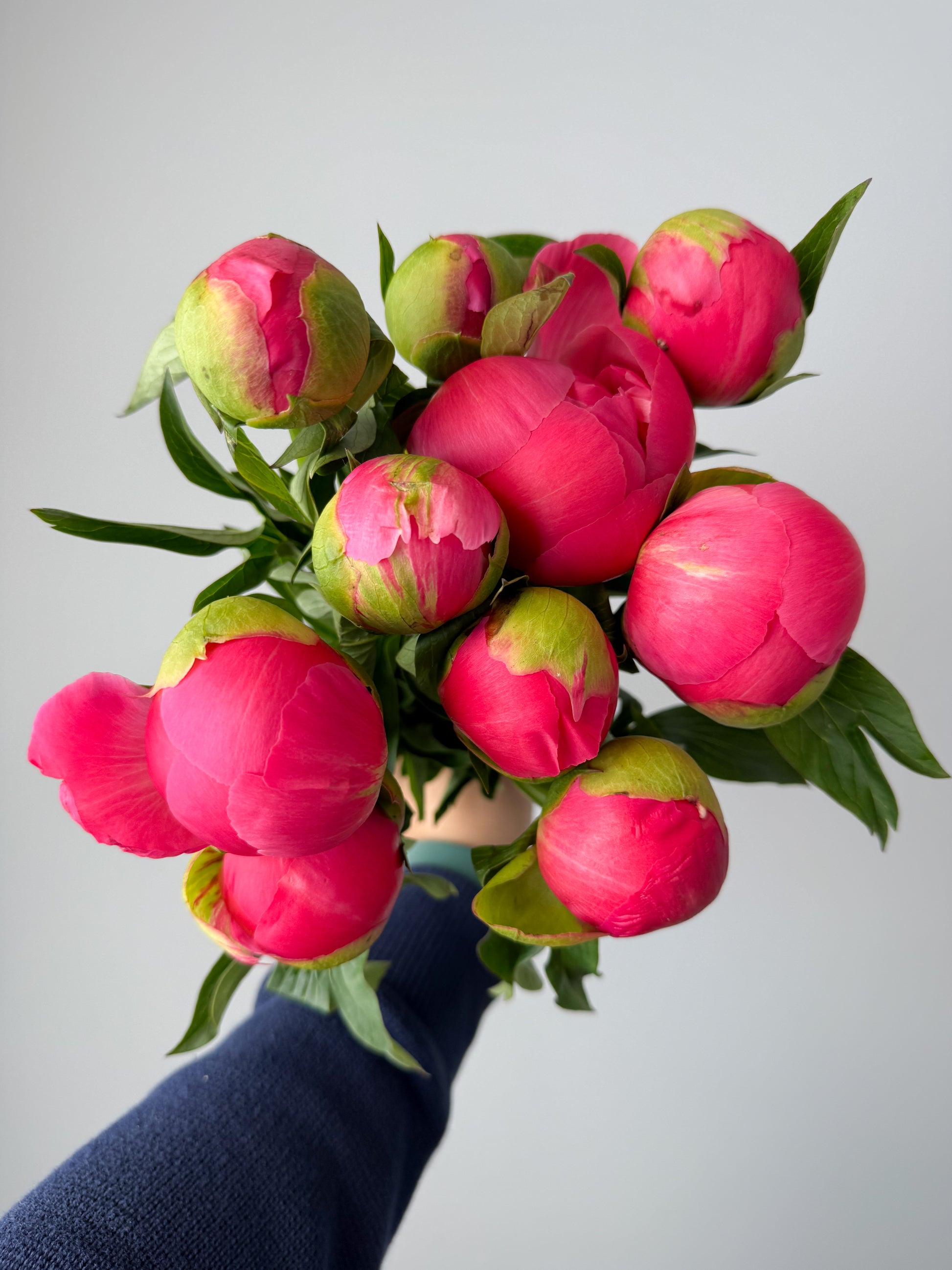 Peony Bouquet (seasonal)