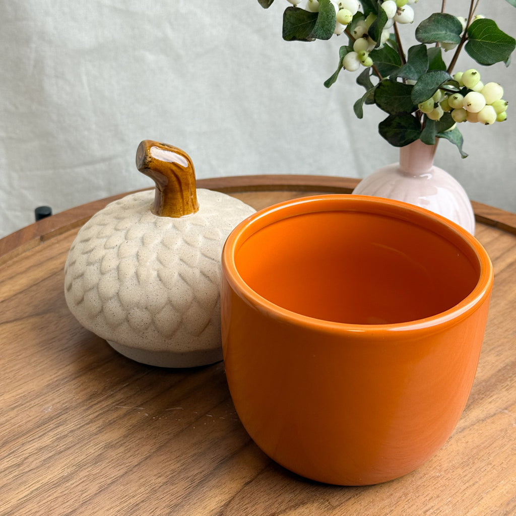 Ceramic Acorn Container