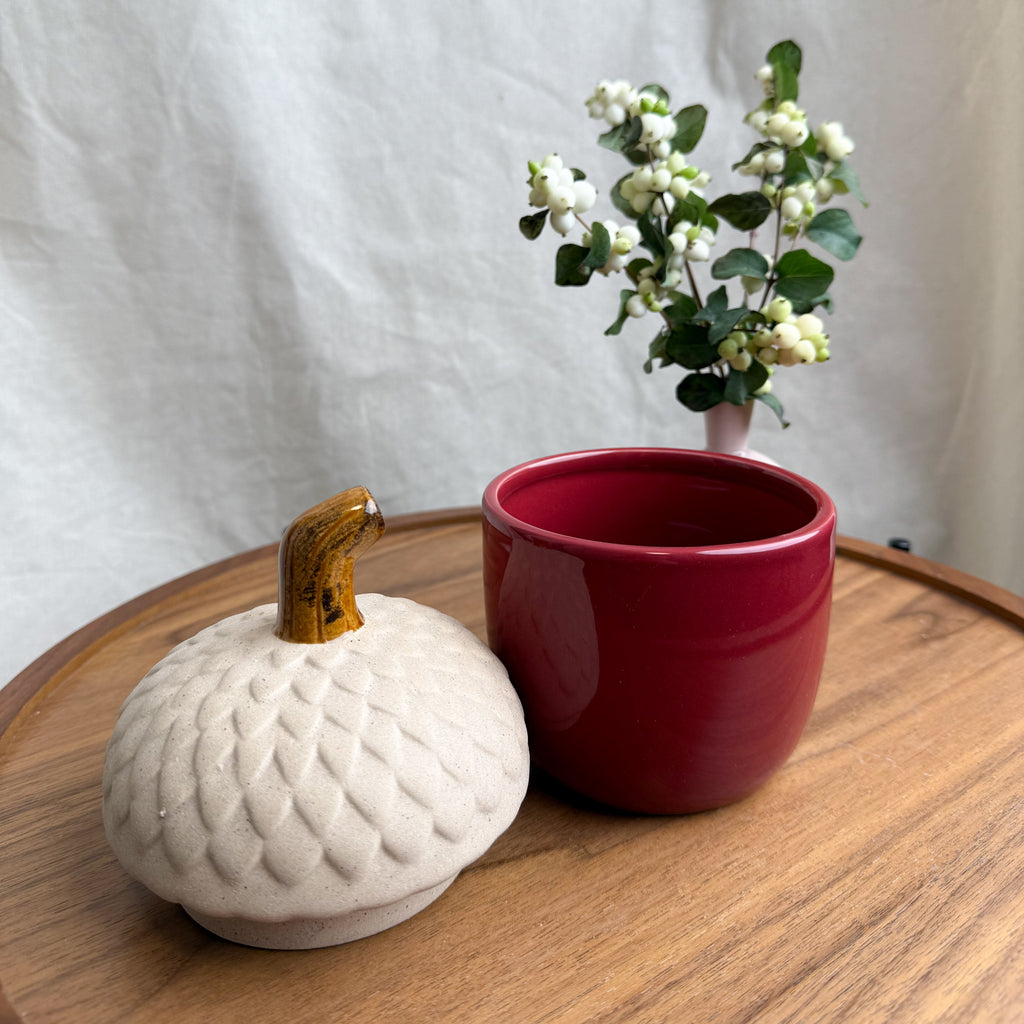 Ceramic Acorn Container
